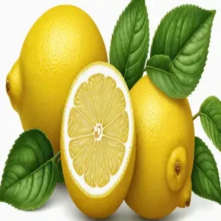 free lemon clipart