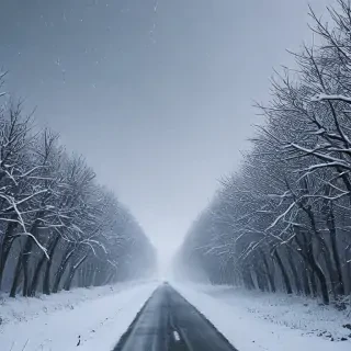 snowing iphone wallpaper