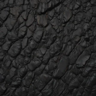 black rough