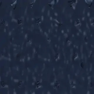 navy blue bg