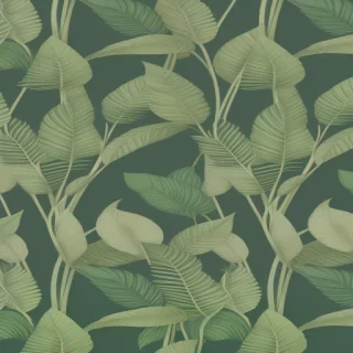 plant wallpaper