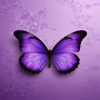 wallpaper purple butterfly