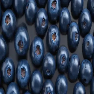 blueberry png