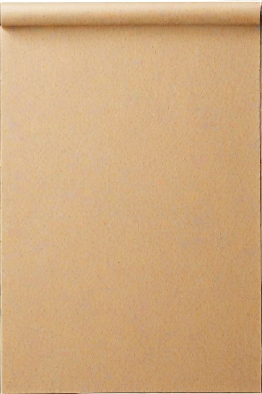 transparent paper png