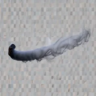 smoke transparent