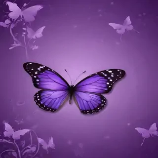 wallpaper purple butterfly