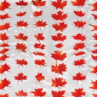 canada flag transparent