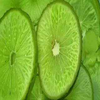lime green background