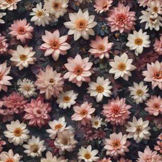 clean wallpaper iphone