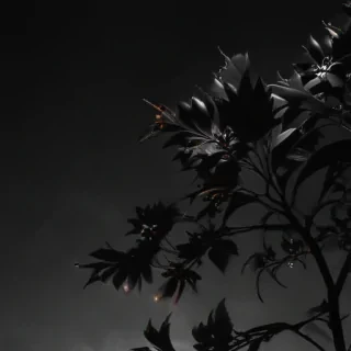 black aesthetic iphone wallpaper