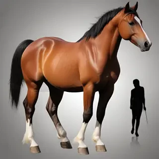 horses clip art