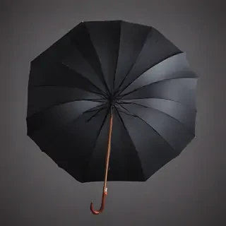 umbrella png