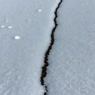 transparent snow