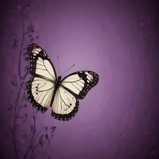 butterfly back ground