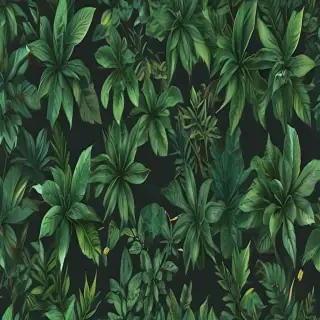 plant wallpaper