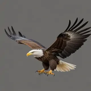 eagle fly png
