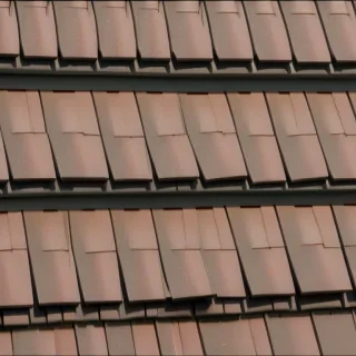shingles images
