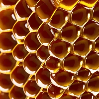 honey background