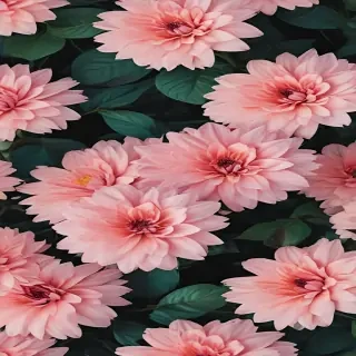 flower aesthetic wallpapers