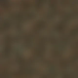 camo png