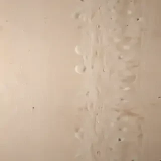 beige wallpaper iphone