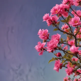 simple backgrounds iphone
