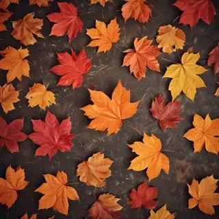 autumn wallpaper phone