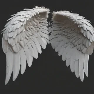 angel wings png transparent