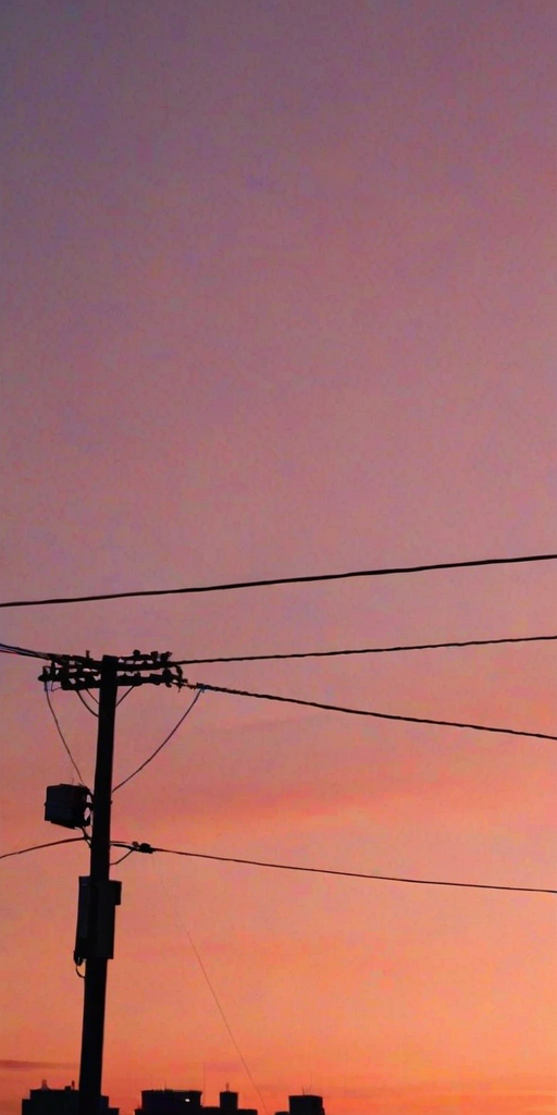 Sharp, high-contrast photo of a lone bird perched on a telephone wire against a vivid sunset sky, soft pinks and oranges blending in the background, distant city skyline barely visible, and a sense of quiet observation.