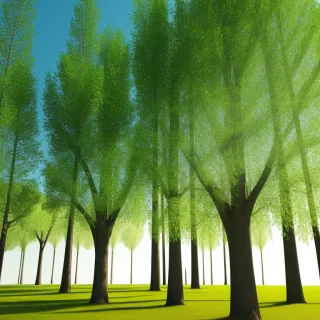 trees transparent background