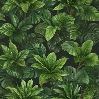 house plant png