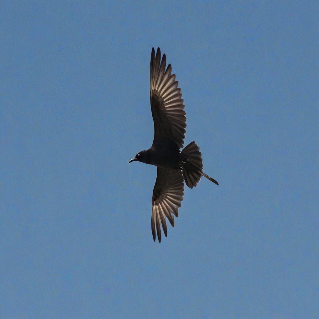 Create an image of a black-headed bird in flight against a clear blue sky, showcasing its long wings and slender body.
