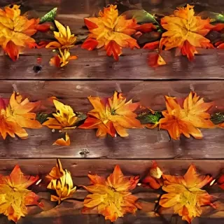 fall zoom backgrounds free