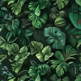 plants iphone wallpaper