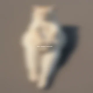 paw png