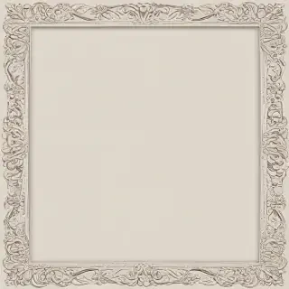transparent border frame
