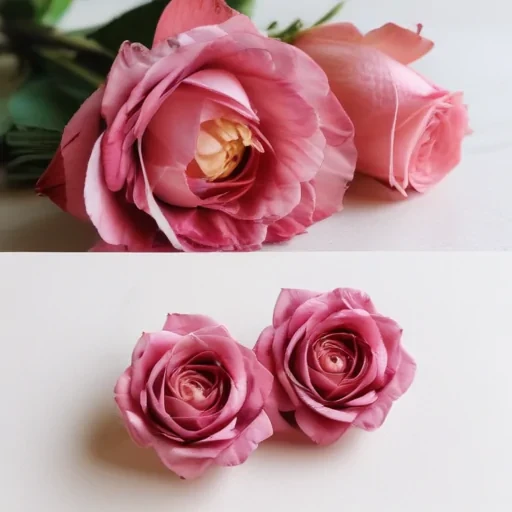 flower line