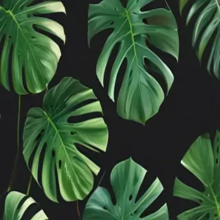 aesthetic monstera wallpaper