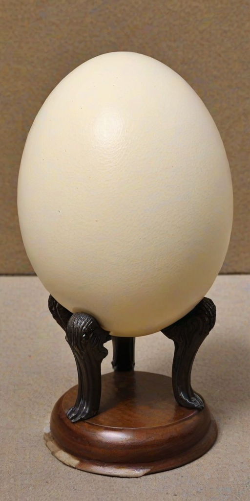 ostrich egg