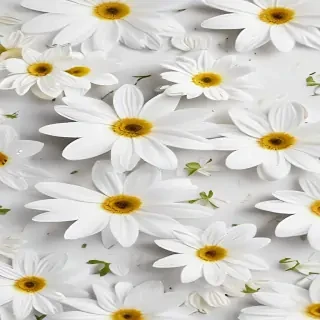 flower background white