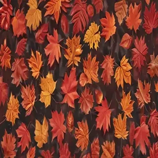 fall wallpaper iphone