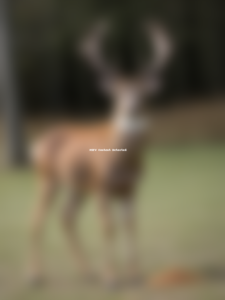 will deer eat dog food