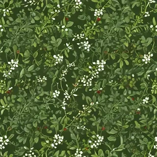 mistletoe png