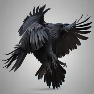 raven png