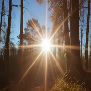 lens flare
