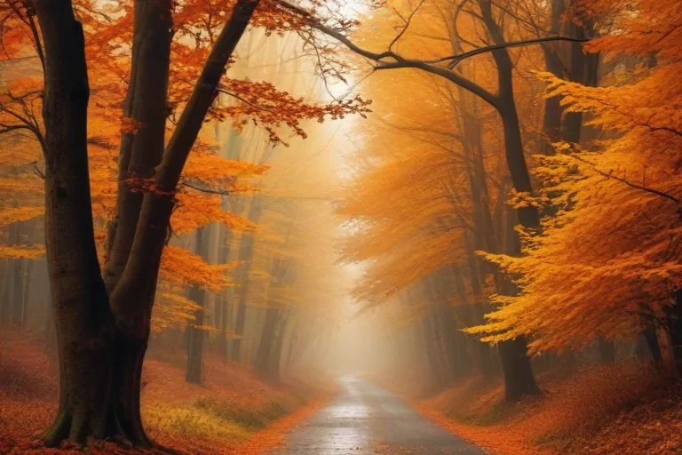 wallpaper autumn iphone