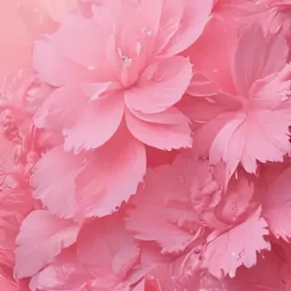 pink home screen wallpaper