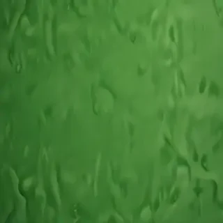 green wallpaper phone