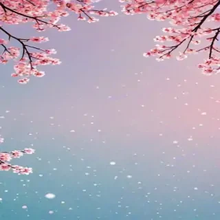 pretty backgrounds for phones