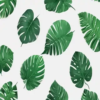 green aesthetic png